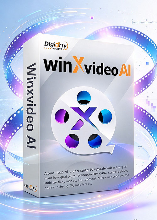 gameladen, Winxvideo AI Standard License 1Year 3 Device